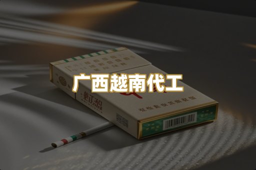 广西越南代工